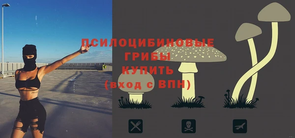 apvp Красноперекопск